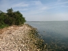 tarm-laguna-razelm